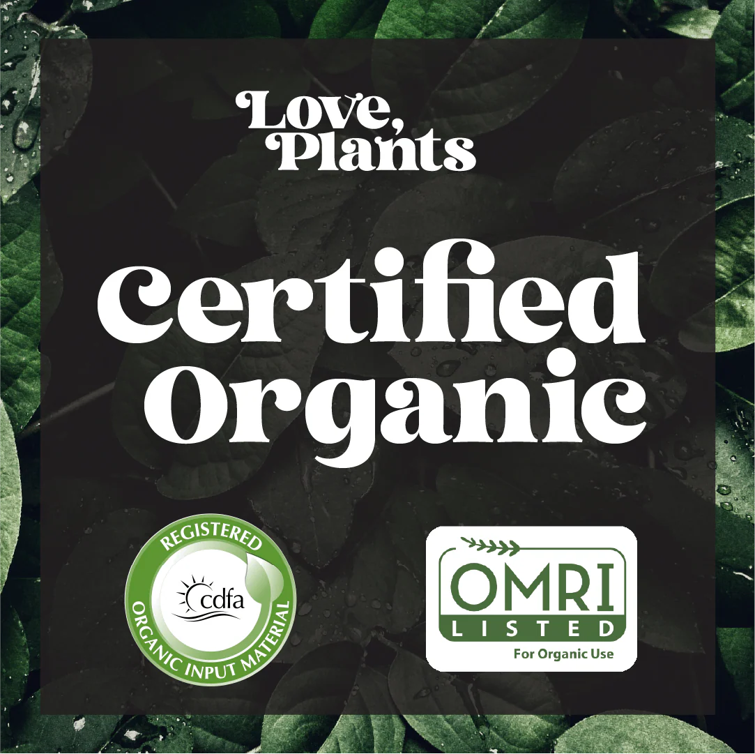 Tropical Houseplant Care Kit - Image 3